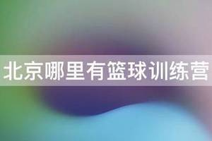 未来体育篮球训练营在哪里